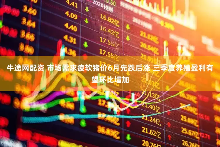 牛途网配资 市场需求疲软猪价6月先跌后涨 三季度养殖盈利有望环比增加