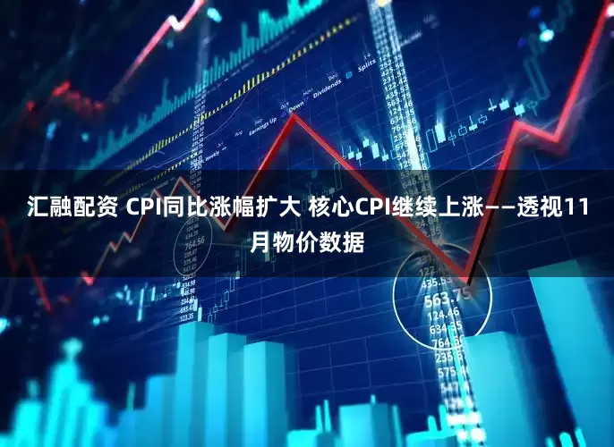 汇融配资 CPI同比涨幅扩大 核心CPI继续上涨——透视11月物价数据